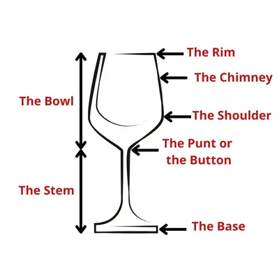 The Best wine glass - Anatomy of a glass of wine